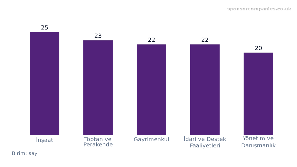 Şehre göre sektör sayıları karşılaştırmasını gösteren çubuk grafik: Değerler: İnşaat: 25; Toptan ve Perakende: 23; Gayrimenkul: 22; İdari ve Destek Faaliyetleri: 22; Yönetim ve Danışmanlık: 20.