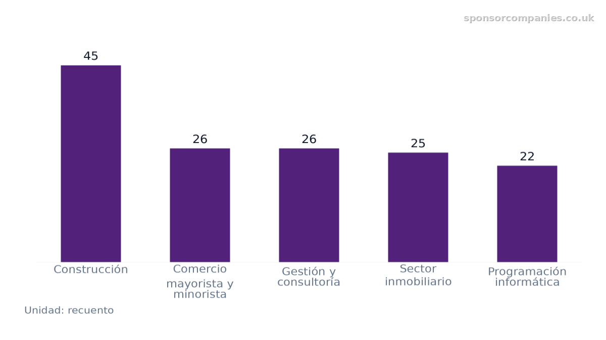 Gráfico de barras que compara Número de empresas por sector en la ciudad: Valores: Construcción: 45; Comercio mayorista y minorista: 26; Gestión y consultoría: 26; Sector inmobiliario: 25; Programación informática: 22.