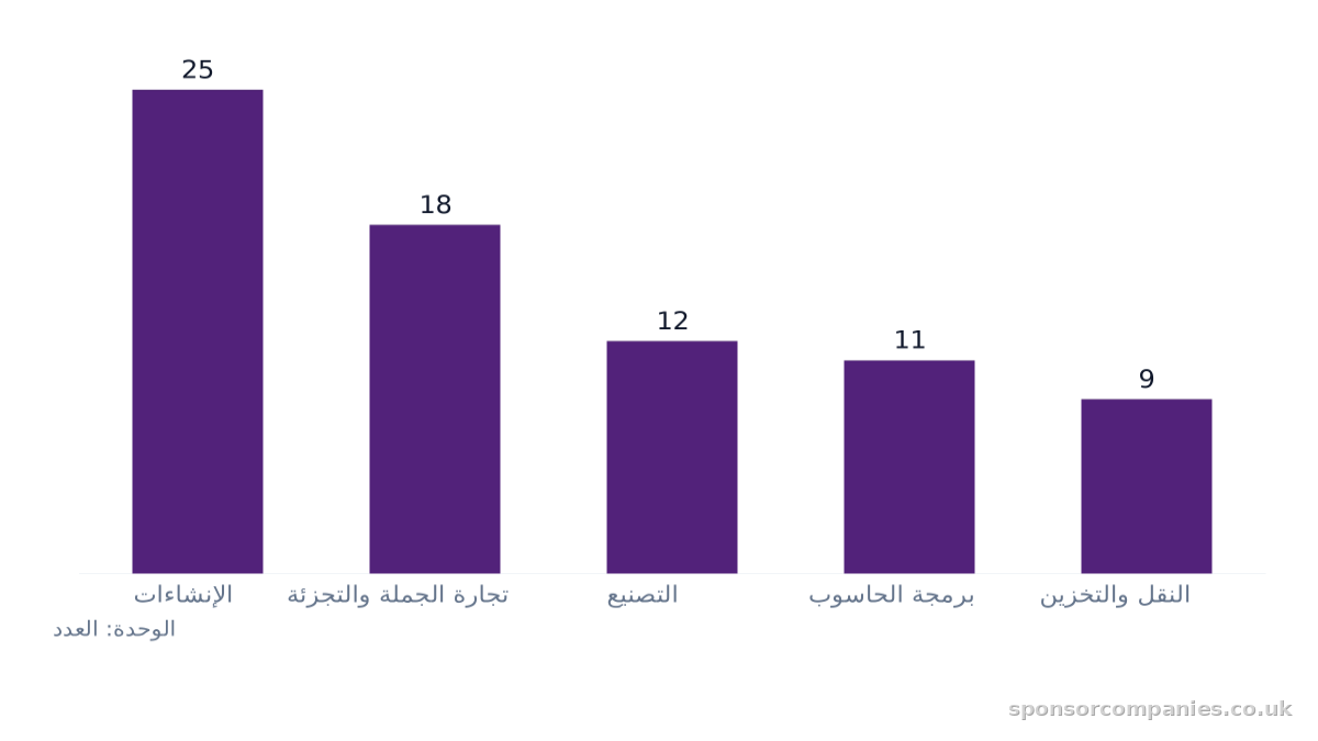 مخطط أعمدة يقارن أعداد القطاعات حسب المدينة: القيم: الإنشاءات: 25; تجارة الجملة والتجزئة: 18; التصنيع: 12; برمجة الحاسوب: 11; النقل والتخزين: 9.