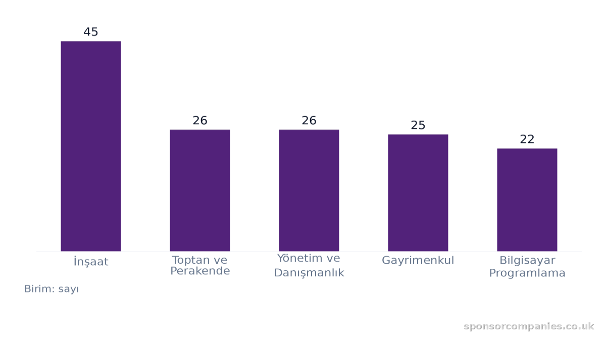 Şehre göre sektör sayıları karşılaştırmasını gösteren çubuk grafik: Değerler: İnşaat: 45; Toptan ve Perakende: 26; Yönetim ve Danışmanlık: 26; Gayrimenkul: 25; Bilgisayar Programlama: 22.