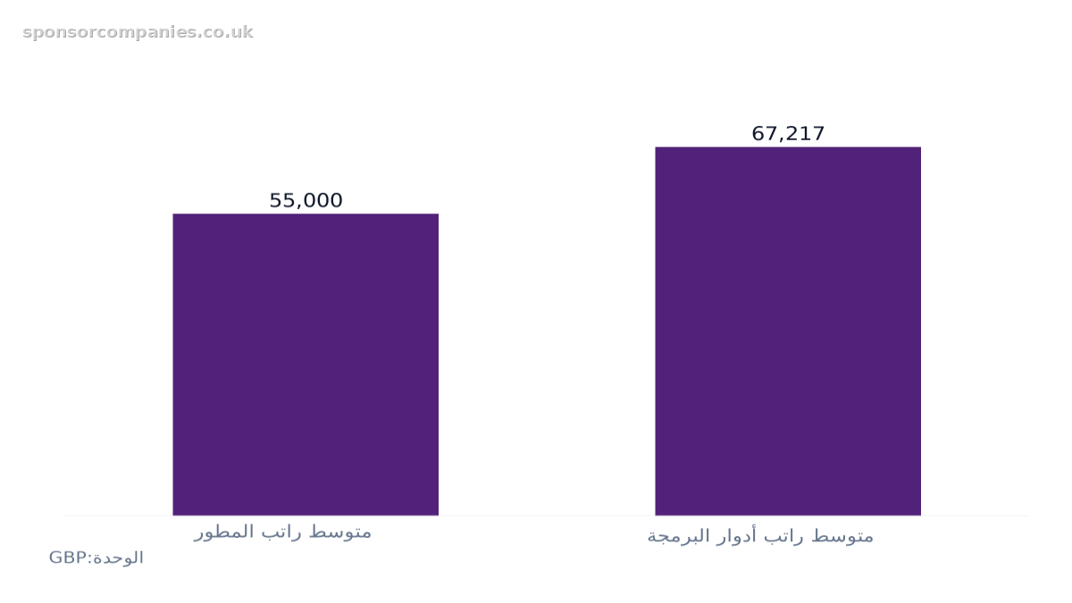 مخطط أعمدة يقارن متوسط رواتب المطورين والبرمجة في المملكة المتحدة: القيم: متوسط راتب المطور: 55,000; متوسط راتب أدوار البرمجة: 67,217.