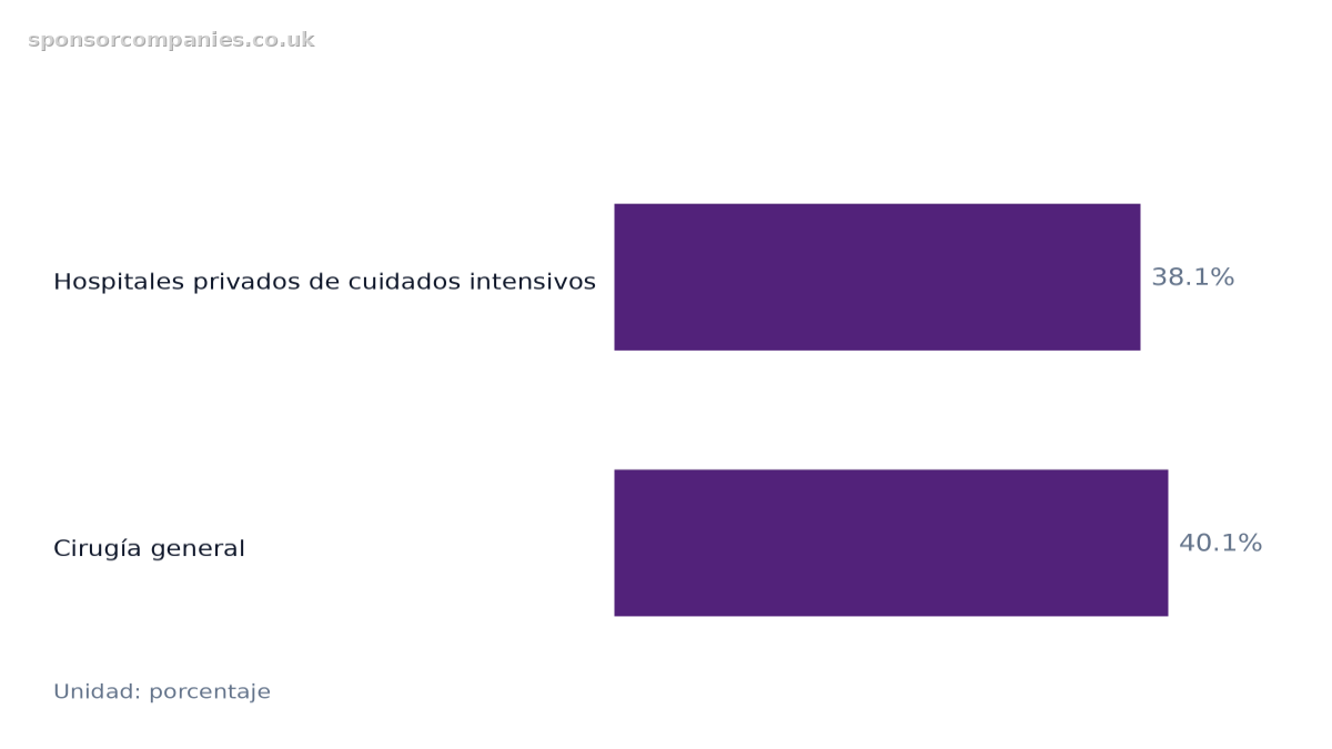 Gráfico de barras horizontales que compara Segmentos del mercado sanitario privado y solicitudes: Valores: Hospitales privados de cuidados intensivos: 38.1%; Cirugía general: 40.1%.