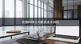 伦敦科技公司薪资水平对比