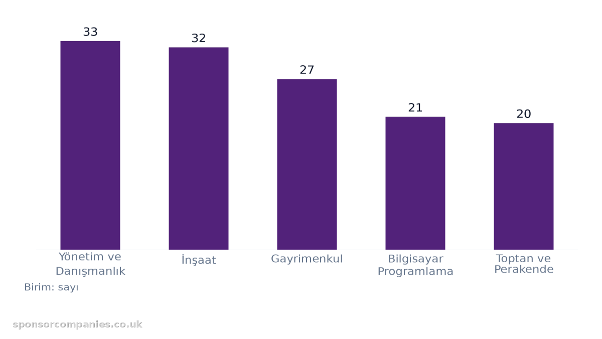 Şehirlere göre sektör sayıları karşılaştırmasını gösteren çubuk grafik: Değerler: Yönetim ve Danışmanlık: 33; İnşaat: 32; Gayrimenkul: 27; Bilgisayar Programlama: 21; Toptan ve Perakende: 20.