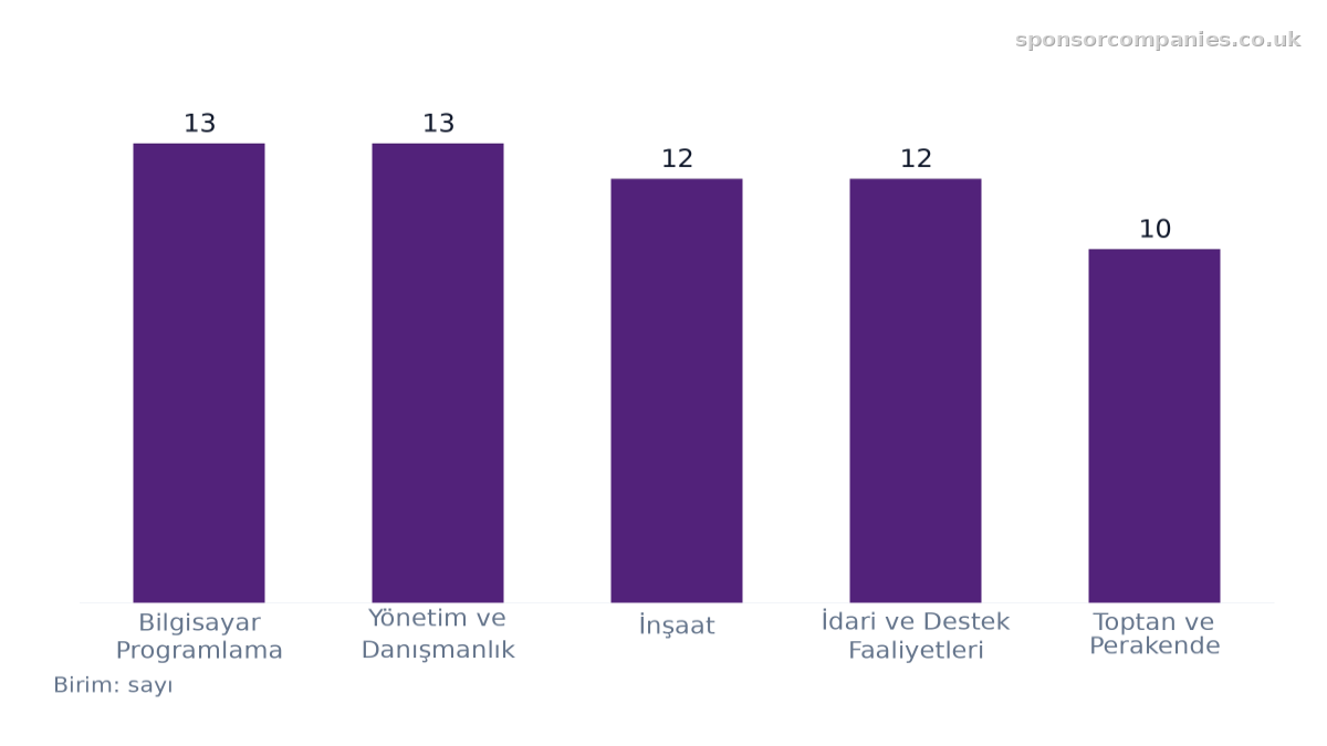 Şehre göre sektör sayıları karşılaştırmasını gösteren çubuk grafik: Değerler: Bilgisayar Programlama: 13; Yönetim ve Danışmanlık: 13; İnşaat: 12; İdari ve Destek Faaliyetleri: 12; Toptan ve Perakende: 10.