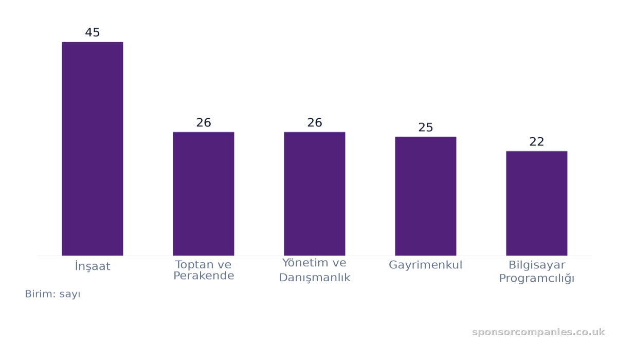 Şehirlere göre sektör sayıları karşılaştırmasını gösteren çubuk grafik: Değerler: İnşaat: 45; Toptan ve Perakende: 26; Yönetim ve Danışmanlık: 26; Gayrimenkul: 25; Bilgisayar Programcılığı: 22.