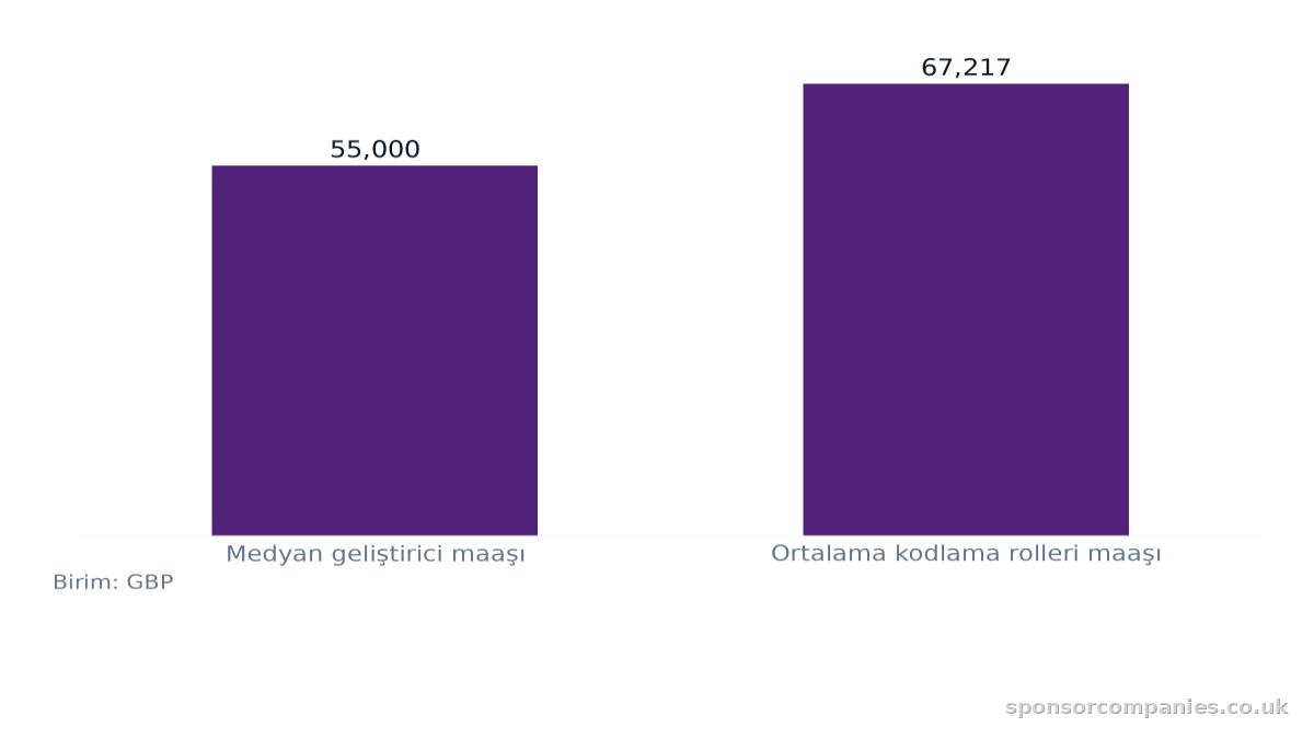 comparison 01 karşılaştırmasını gösteren çubuk grafik: Değerler: Medyan geliştirici maaşı: 55,000; Ortalama kodlama rolleri maaşı: 67,217.