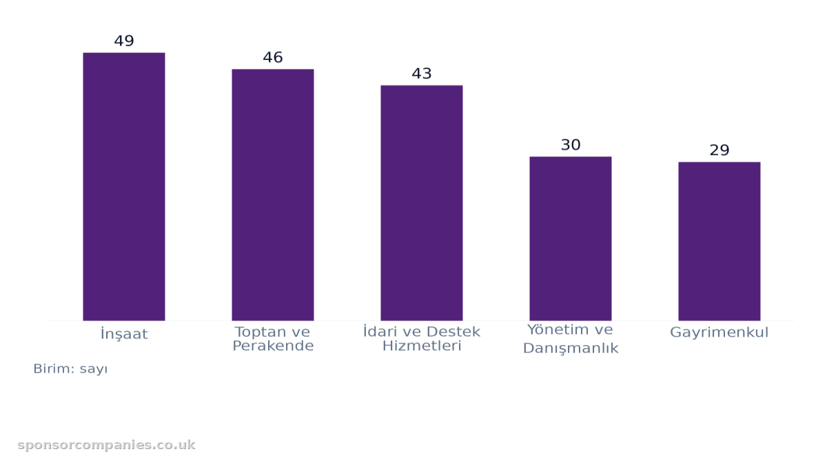 Şehirlere göre sektör sayıları karşılaştırmasını gösteren çubuk grafik: Değerler: İnşaat: 49; Toptan ve Perakende: 46; İdari ve Destek Hizmetleri: 43; Yönetim ve Danışmanlık: 30; Gayrimenkul: 29.