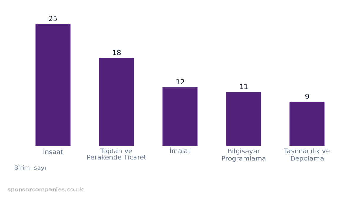 Şehirlere göre sektör sayıları karşılaştırmasını gösteren çubuk grafik: Değerler: İnşaat: 25; Toptan ve Perakende Ticaret: 18; İmalat: 12; Bilgisayar Programlama: 11; Taşımacılık ve Depolama: 9.
