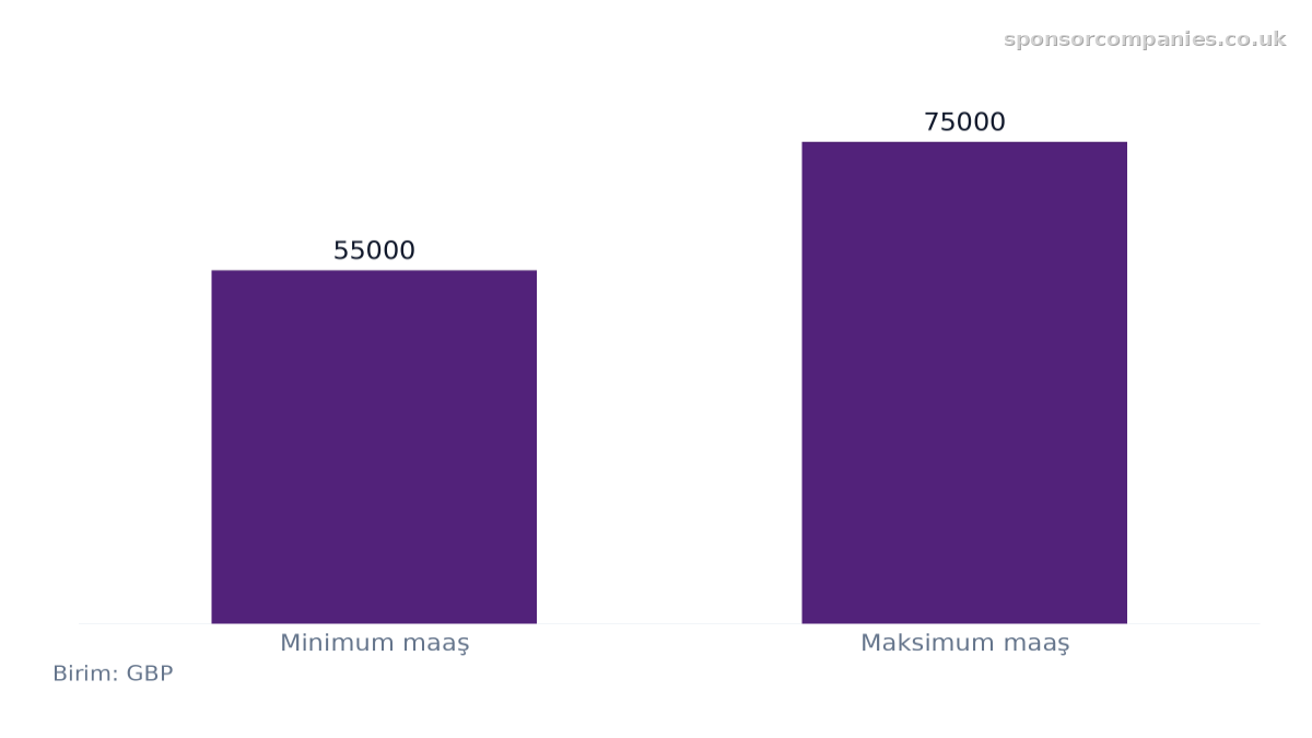 Vize Sponsorlu Teknoloji Rolleri Maaş Aralığı karşılaştırmasını gösteren çubuk grafik: Değerler: Minimum maaş: 55000; Maksimum maaş: 75000.