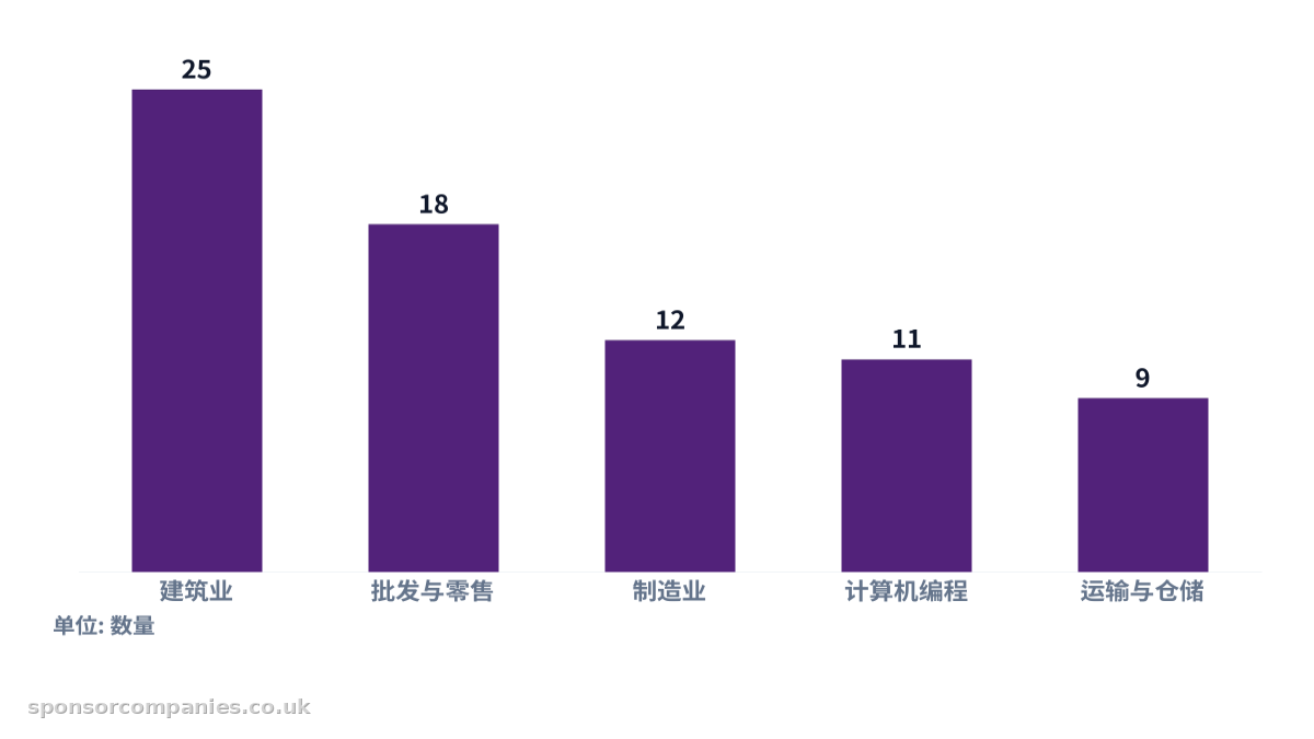 比较各城市行业数量统计的柱状图。数值：建筑业: 25; 批发与零售: 18; 制造业: 12; 计算机编程: 11; 运输与仓储: 9。