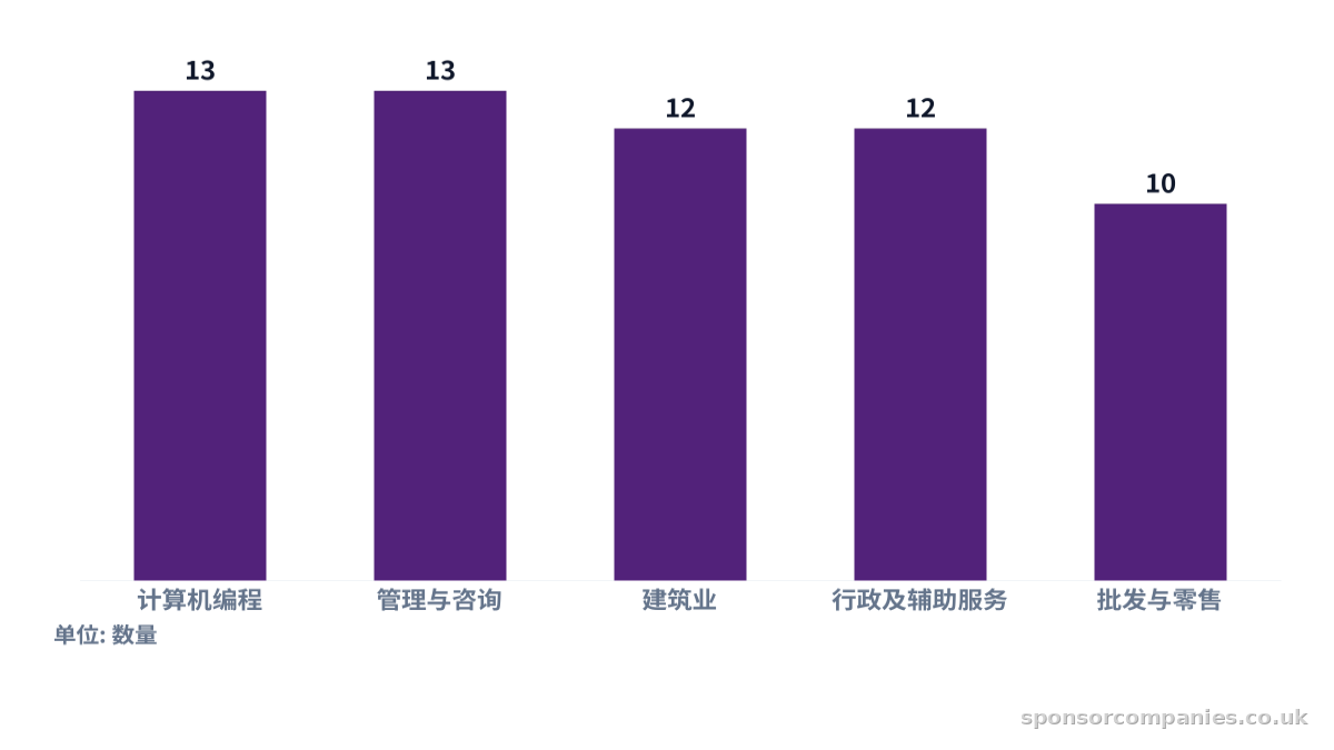 比较各城市行业数量统计的柱状图。数值:计算机编程: 13; 管理与咨询: 13; 建筑业: 12; 行政及辅助服务: 12; 批发与零售: 10。
