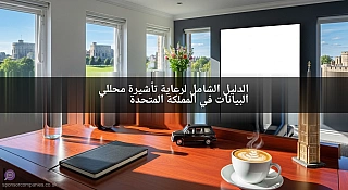 الدليل الشامل لرعاية تأشيرة محللي البيانات في المملكة المتحدة