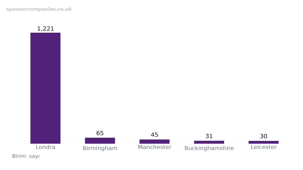 Sektör sayısına göre şehirler karşılaştırmasını gösteren çubuk grafik: Değerler: Londra: 1,221; Birmingham: 65; Manchester: 45; Buckinghamshire: 31; Leicester: 30.