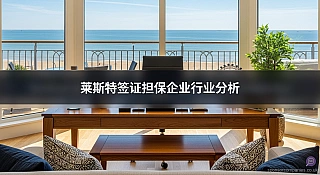 莱斯特签证担保企业行业分析