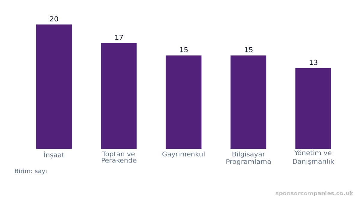 Şehirlere göre sektör sayıları karşılaştırmasını gösteren çubuk grafik: Değerler: İnşaat: 20; Toptan ve Perakende: 17; Gayrimenkul: 15; Bilgisayar Programlama: 15; Yönetim ve Danışmanlık: 13.
