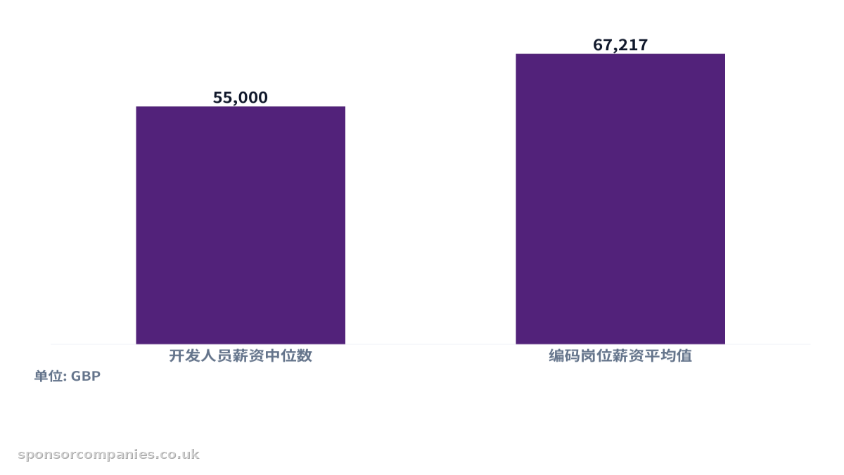 比较英国开发人员与编码岗位薪资中位数与平均值对比的柱状图。数值：开发人员薪资中位数: 55,000; 编码岗位薪资平均值: 67,217。