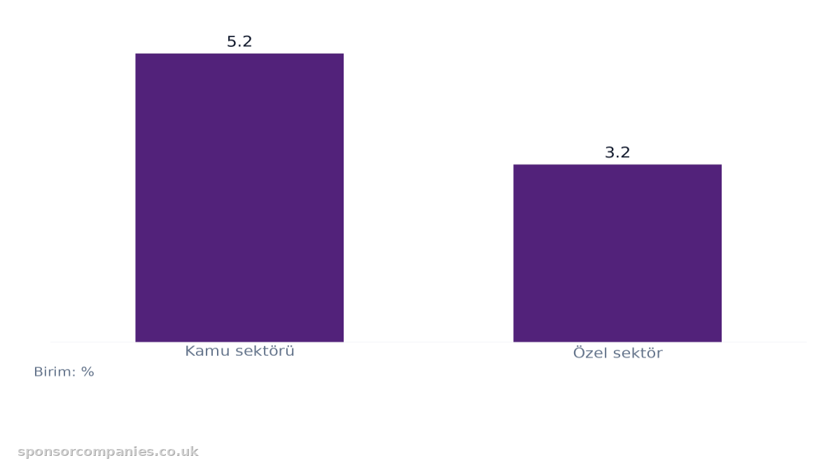 Sektöre Göre Düzenli Ücret Artışı karşılaştırmasını gösteren çubuk grafik: Değerler: Kamu sektörü: 5.2; Özel sektör: 3.2.