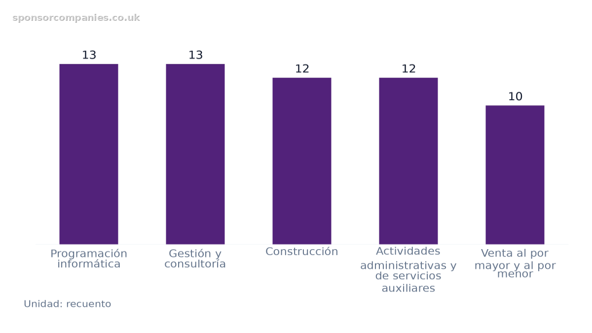 Gráfico de barras que compara Recuento de sectores por ciudad: Valores: Programación informática: 13; Gestión y consultoría: 13; Construcción: 12; Actividades administrativas y de servicios auxiliares: 12; Venta al por mayor y al por menor: 10.