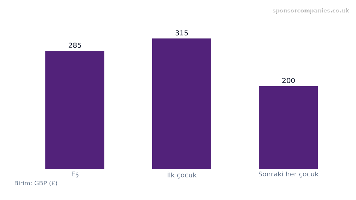 Bağımlı Türüne Göre Mali Bakım Gerekliliği karşılaştırmasını gösteren çubuk grafik: Değerler: Eş: 285; İlk çocuk: 315; Sonraki her çocuk: 200.