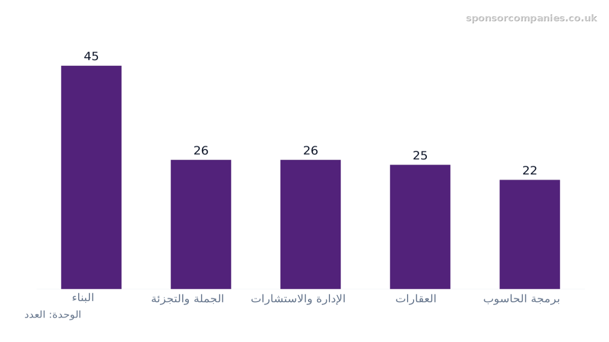 مخطط أعمدة يقارن أعداد الشركات حسب القطاع في المدينة: القيم: البناء: 45; الجملة والتجزئة: 26; الإدارة والاستشارات: 26; العقارات: 25; برمجة الحاسوب: 22.