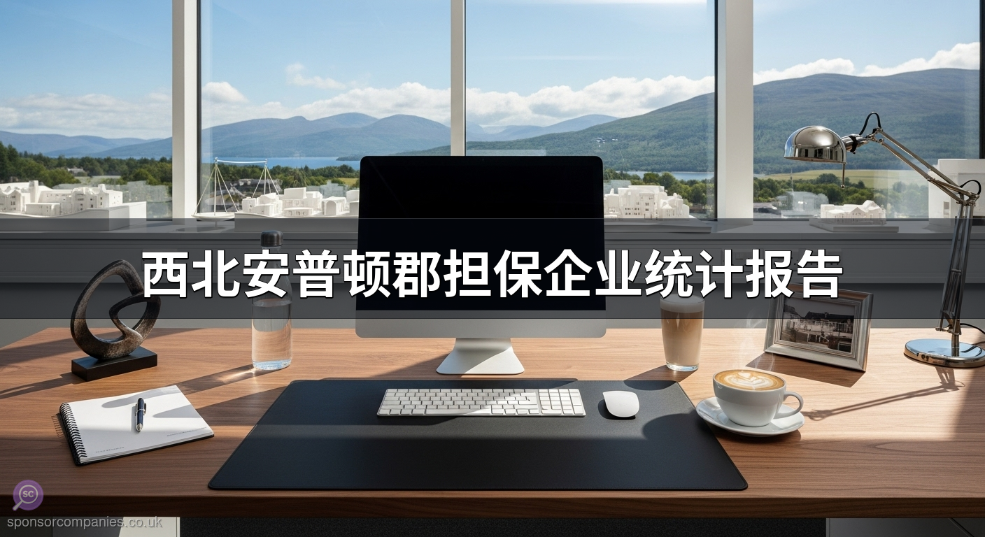 西北安普顿郡担保企业统计报告